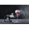 Campana di Vetro per Cocktails