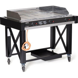 Griglia a Gas D. 1285x770
