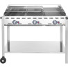 Griglia a Gas D. mm 1078 x612