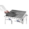 Griglia a Gas D. mm 1400 x 612