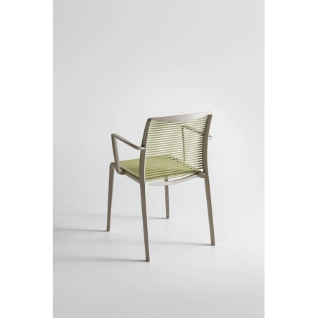 Sedia Avenica B