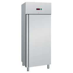 Armadio frigo lt. 650